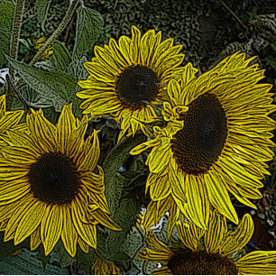 Puzzle arrière - plan feuillu avec de grandes fleurs de s