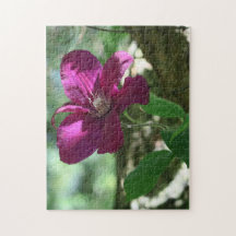 arrière - plan, fleur, fleur, nature, été,