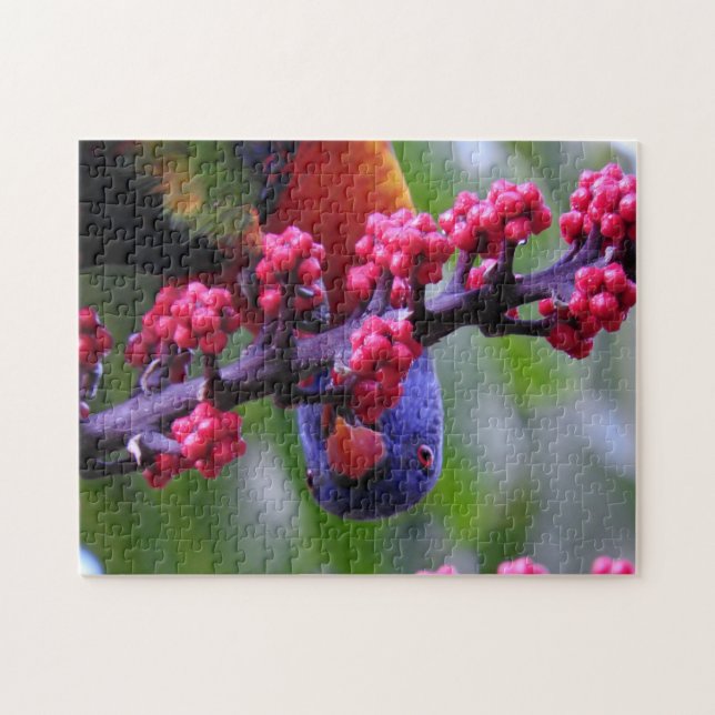 Puzzle Arrivée pour un en-cas - Rainbow Lorikeet (Horizontal)