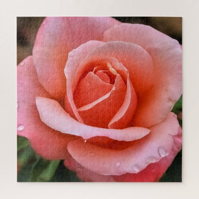 Puzzle Art botanique romantique Rose Imprimer (Vertical)