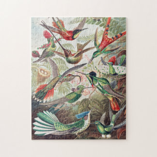 Puzzle Art par Ernst Haeckel