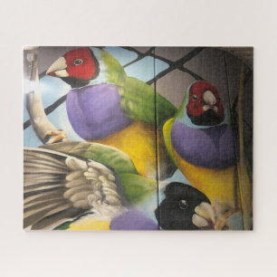 Puzzle art perroquet