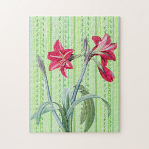 Puzzle Art rétro vintage Amaryllis