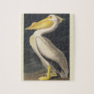 Puzzle Art Vintage d'Audubon représentant le Pélican blan