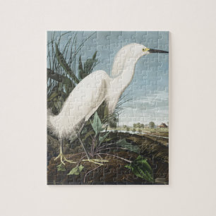 Puzzle Art vintage d'Audubon représentant un héron neigeu