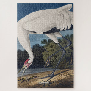 Puzzle Art vintage d'Audubon sur la grue criarde et la na