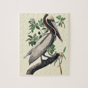 Puzzle Art Vintage d'Oiseau Marin Côtier Pélican Brun d'A