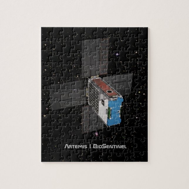Puzzle Artemis BioSentinel CubeSat (Vertical)