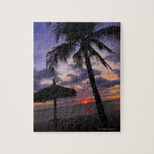 Puzzle Aruba, silhouette de palmier et de palapa dessus