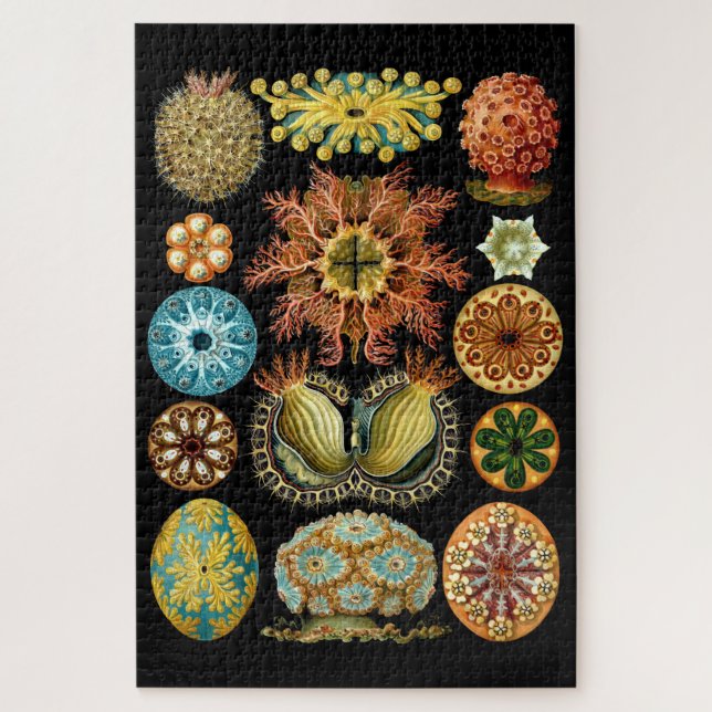 Puzzle Ascidiae marine vintage par Ernst Haeckel (Vertical)