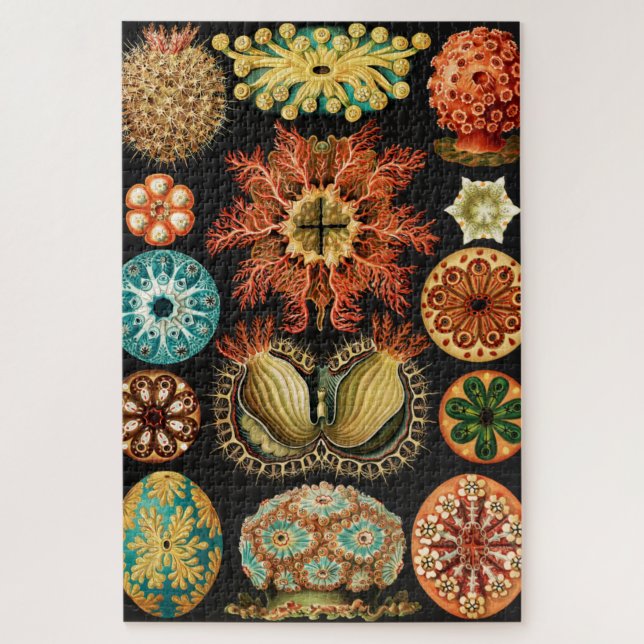 Puzzle Ascidiae, Seescheiden Marine Life par Ernst Haecke (Vertical)