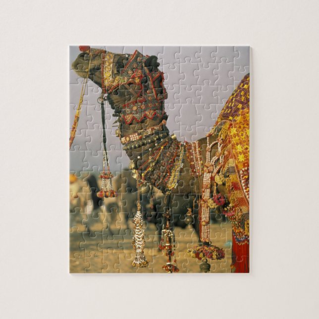 Puzzle Asie, Inde, Pushkar. Chameau Shamu, Pushkar (Vertical)