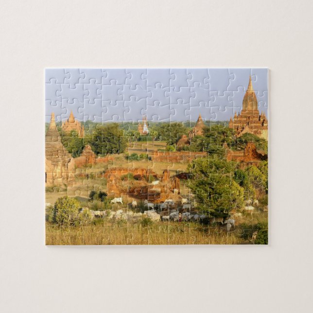 Puzzle Asie, Myanmar (Birmanie), Bagan (Pagan). Vaches pa (Horizontal)