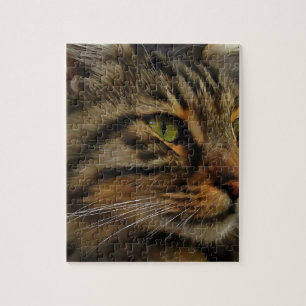 Puzzle Aslan Le Long Haired Tabby Cat