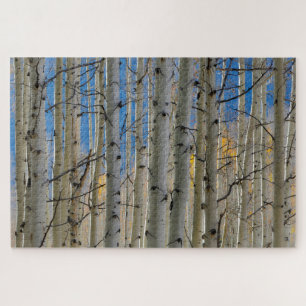 Puzzle Aspen Groves   Colorado Montagnes Rocheuses