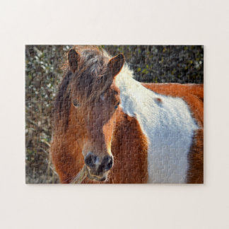 Puzzle Assateague Pinto Mare Ms Macky