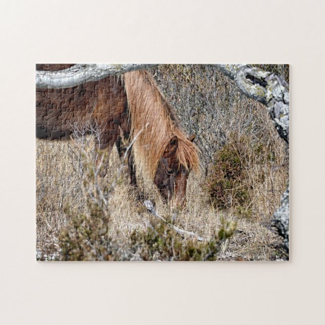 Puzzle Assateague Wild Horse Jigwaw (Horizontal)