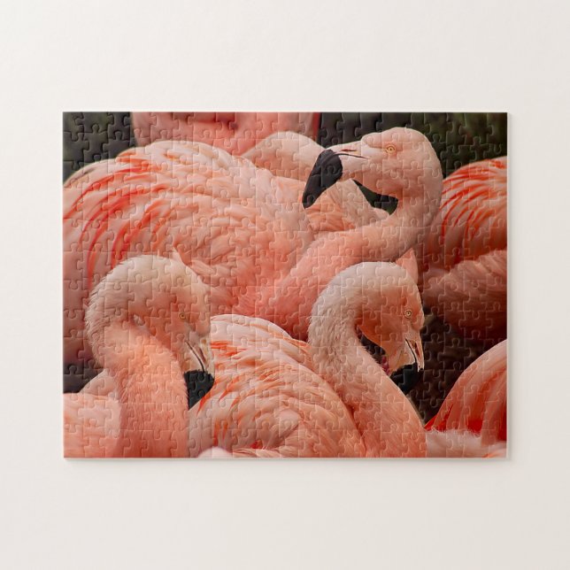 Puzzle assez rose d'impression de flamant (Horizontal)