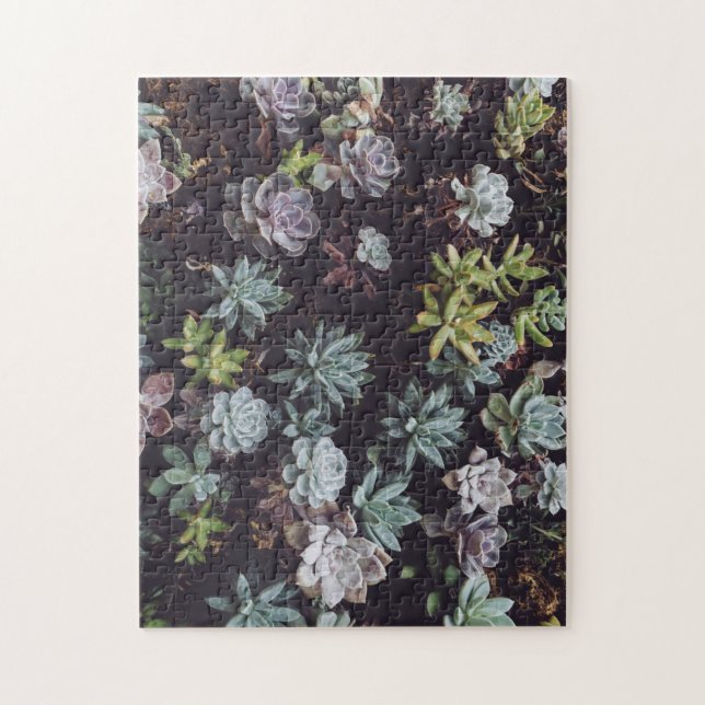 Puzzle Assortiment de petits Plantes succulents (Vertical)