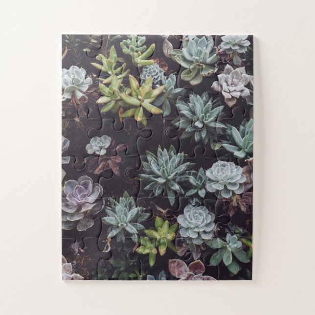 Puzzle Assortiment de petits Plantes succulents (Vertical)
