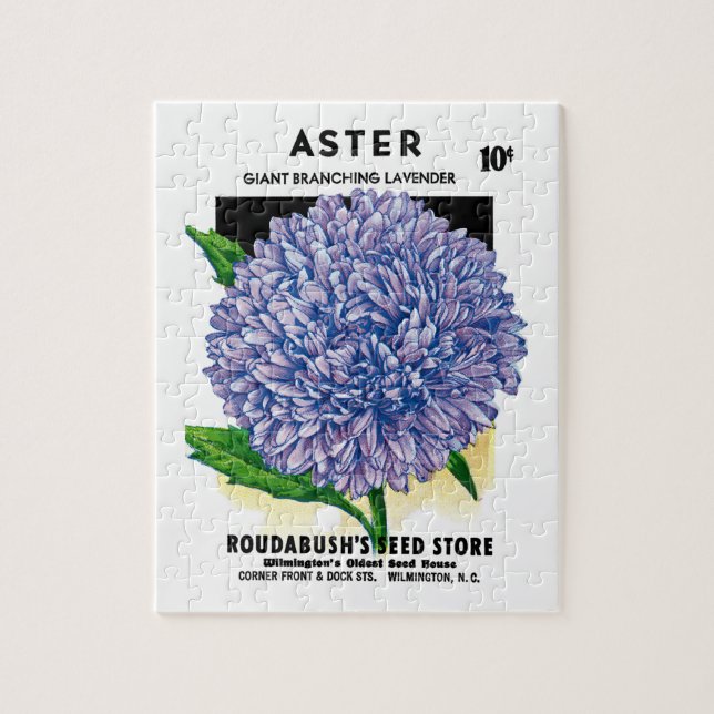 Puzzle Aster Vintage Seed Packet (Vertical)