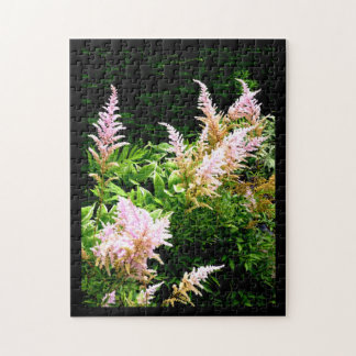 Puzzle Astilbe