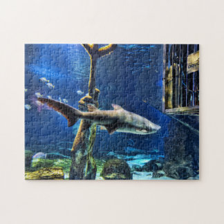 Puzzle Attaque de requin