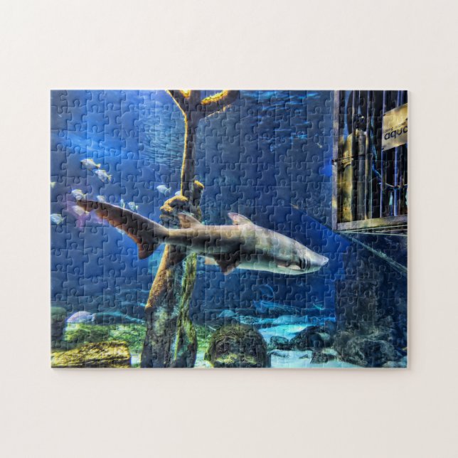 Puzzle Attaque de requin (Horizontal)