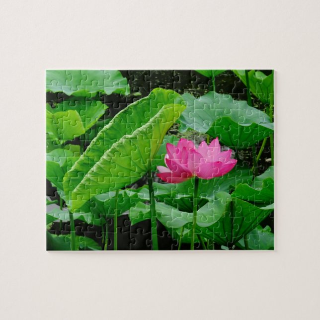 Puzzle Au-Dessus Des Eaux Boueuses (Lit D'Eau Rose) (Horizontal)