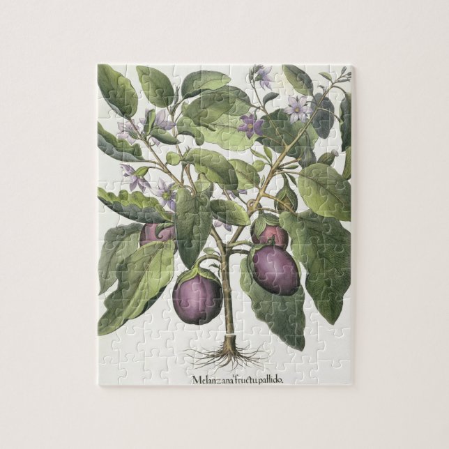 Puzzle Aubergine : Pallido de fructu de Melanzana, du (Vertical)