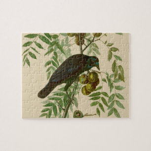 Puzzle Audubon American Crow Black Bird