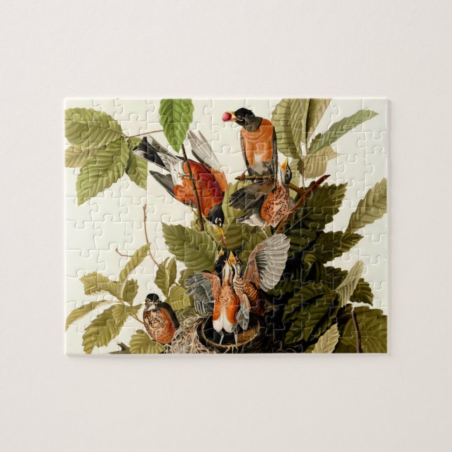 Puzzle Audubon American Robin Wildlife Bird (Horizontal)