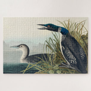 Puzzle Audubon Bird Loon Diver Classic