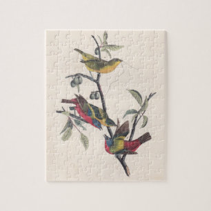 Puzzle Audubon Peint Bunting Bird Wildlife