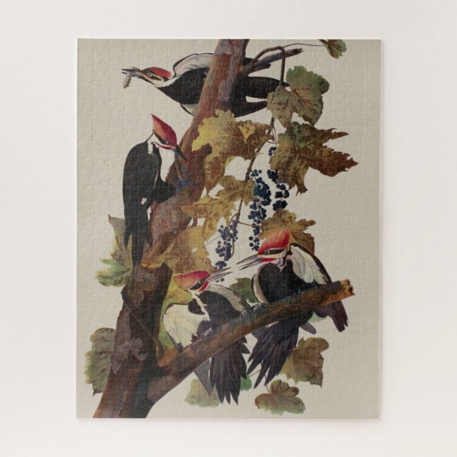 Puzzle Audubon Peinture d'Oiseaux Pic Pilé (Vertical)