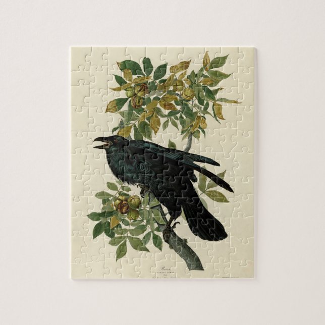 Puzzle Audubon Raven Oiseau classique (Vertical)
