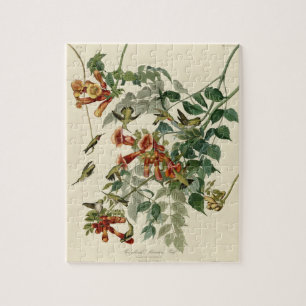 Puzzle Audubon Throsé de colibri