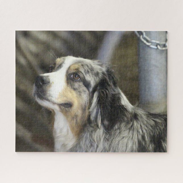 Puzzle Aussie (Horizontal)