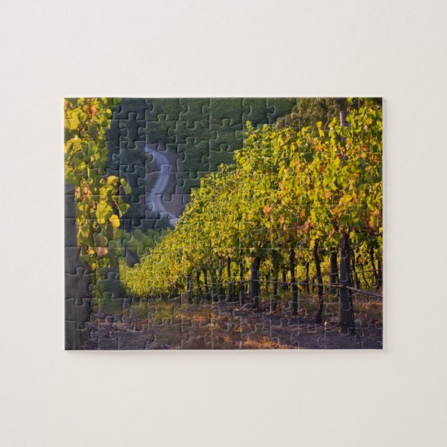 Puzzle Australie-Méridionale, Adelaide Hills, Summertown. (Horizontal)