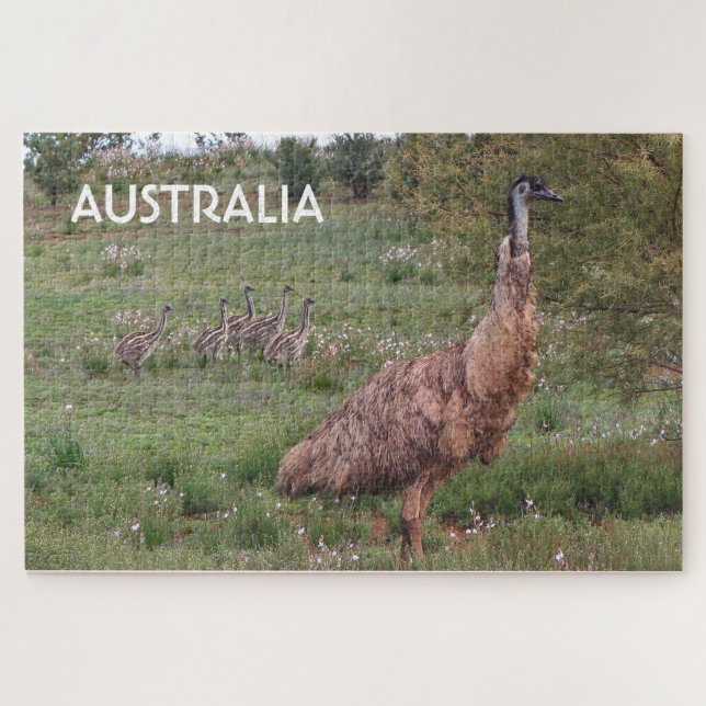 Puzzle Australie : Père emu et poussins, Outback (Horizontal)