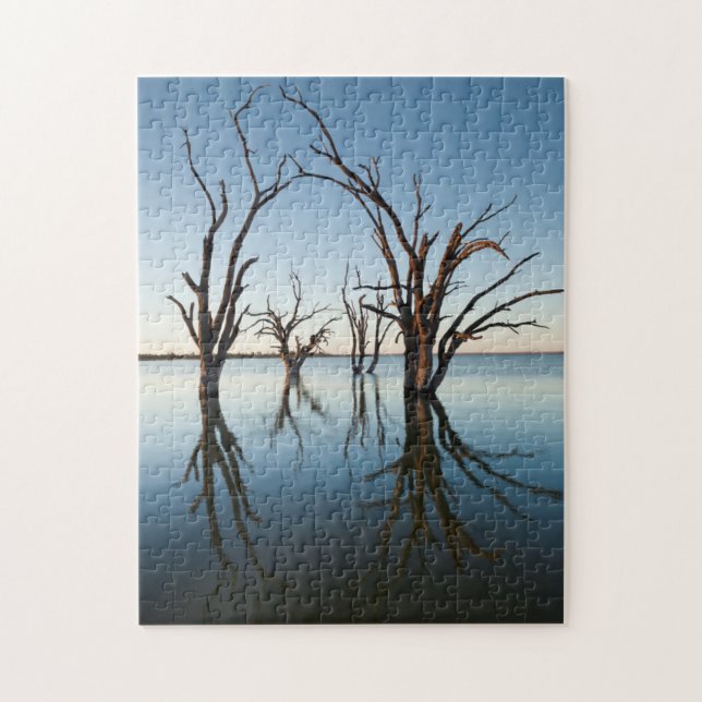 Puzzle Australie, vallée du Murray, Barmera, lac (Vertical)