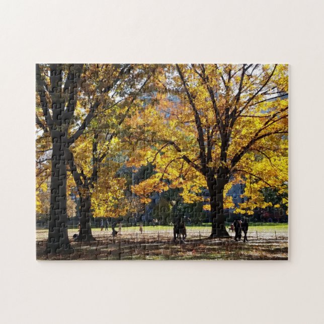 Puzzle Automne après-midi à Central Park (Horizontal)