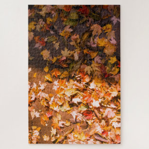 Puzzle Automne Fallen Feuilles