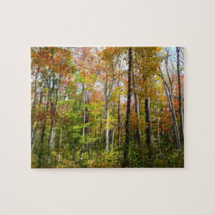 Puzzle Automne Forêt I Automne Paysage Photographie