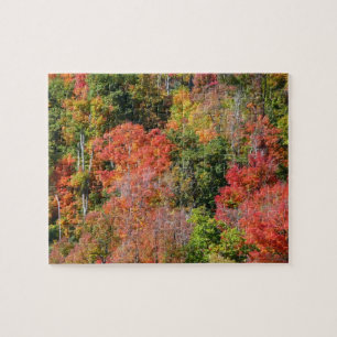 Puzzle Automne Hillside Colorful Automne Nature Photograp