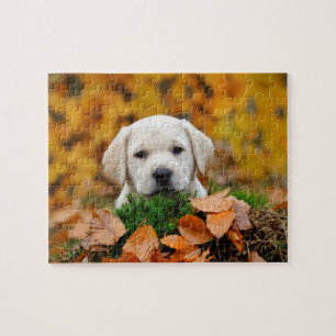 Puzzle Automne Labrador