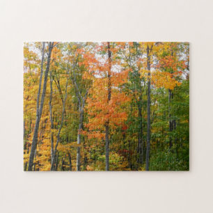 Puzzle Automne Maple Trees Automne Photographie de la nat