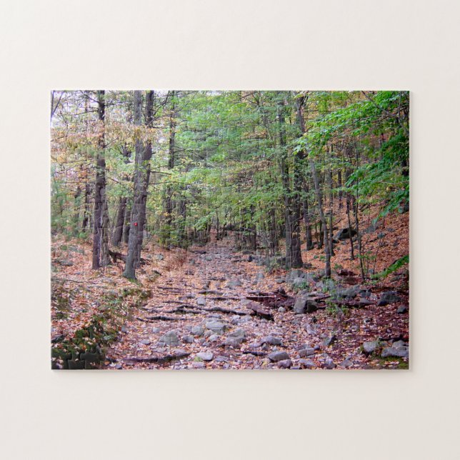 Puzzle Automne sur Blue Hills Réservation Red Dot Trail (Horizontal)