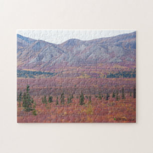 Puzzle Autumn Colors In Denali, Alaska Photograph