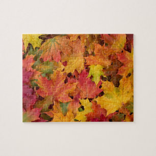 Puzzle Autumn Leaves Fall Color Family Quiet Fun
